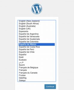 Elegir el idioma de tu wordpress